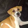 Sarah Eubanks - @saraheubanks636 - TikTok