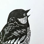Sarah Everett - @sarah_everett_prints - Instagram