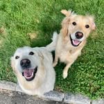 Sarah Everitt - @smeveritt - Instagram