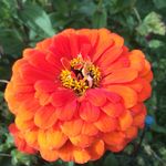 Sarah Everson - @saraheverson386 - Instagram