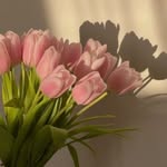 Sara Faizi Ghoryani - @sara_faizi_ghoryani - Instagram