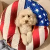 Sarah Fallows - @sarah.fallows - TikTok