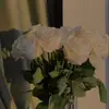 Sarah🤍 - @sarah_fancy1 - TikTok