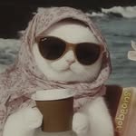 Sarah Farran - @sarahfarran31_ - Instagram