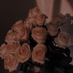 Sarah - @sarah_farras23 - Instagram