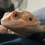Sarah Farran - @mercuryglider - Instagram