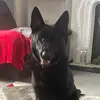 Sarah fawcett - @sarah.fawcett6 - TikTok