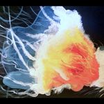 Sarah Feldman - @artbyfeldman - Instagram