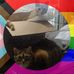 Sarah Feldman - Facebook