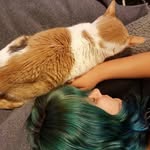 Sarah Feldman - @sarahnerd - Instagram