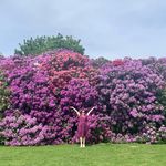 Sarah Ferdinando - @sarah_ferdinando - Instagram