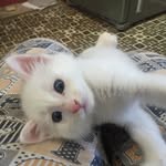 Sarah - @xfilessarah - Instagram