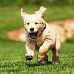 Sarah Fleischmann - @sarfle2003 - Instagram