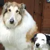 Sarah - @sarahfleischmann_ - TikTok