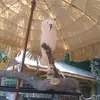 fleurysarah0 - @fleurysarah0 - TikTok