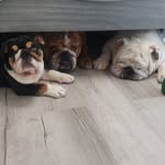 Sara Atzert Flickinger - @atzertflickinger - Instagram