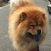 Sarah Flickinger - Facebook