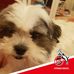 Sarah Flink - Facebook