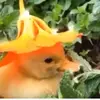 Sarah Flower - @sarahflower1 - TikTok