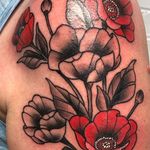 Sarah Fogle - @sfogle35 - Instagram