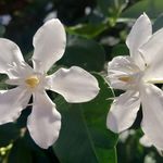 Sarah Fogle-Graham - @pictures.of.my.life80 - Instagram