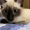Sarah Fontes - @sarahhfontes - TikTok