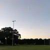 Sarah Forman - @sarahforman_4868 - TikTok