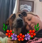 Sarah Formby - Facebook