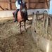 Sarah Freisinger - Facebook
