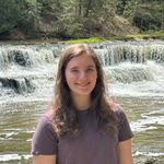 Sarah Friedlander - @sarah_friedlander_ - Instagram