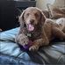 Sarah Friedlander - Facebook