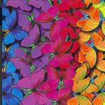 Sarah Frith - @flutterby_fabrics - Instagram