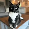 sarahgall - @_sarahgall - TikTok
