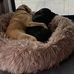 Sarah Garrick - Facebook