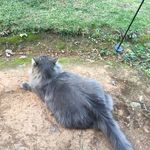 Sarah Gerken - @sarah.gerken.71 - Instagram