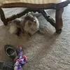 Sarah Gerken - @sarah.gerken2 - TikTok