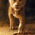 Sarah Gingrich - Facebook