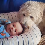 Sarah Glendon - @glendonsarah - Instagram