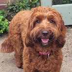 Sarah Goodchild - Facebook