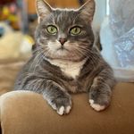 Sarah Reardon Goodrum - @slrgoodrum - Instagram