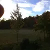 Sarah Goodsell - @sarah.goodsell - TikTok