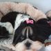 Sarah Gover - Facebook