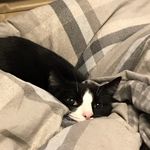 Sarah Grandy - @chess4585 - Instagram