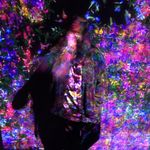 sarah_grassi - @sarah_grassi - Instagram