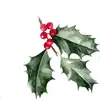 Sarah Gresh - @brookfieldchristmastrees - TikTok