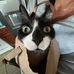 Sarah Sanchez-Griffore - Facebook