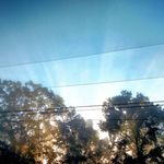 Sarah Groff - @fog.is.my.aesthetic - Instagram