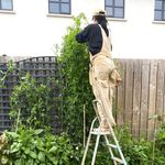 Sarah - @sarahgrowsstuff - Instagram