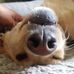 Sara Gullickson - Facebook