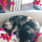 Sarah Guyett - Facebook